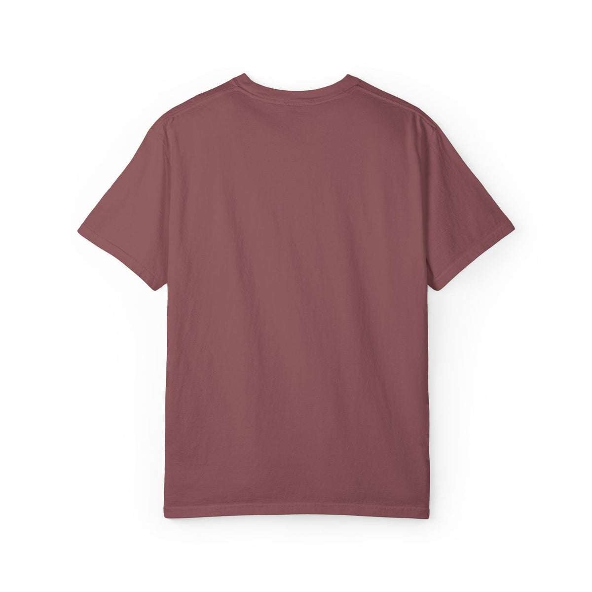 Mntain Outlaw Embroidered Unisex Garment-Dyed T-shirt