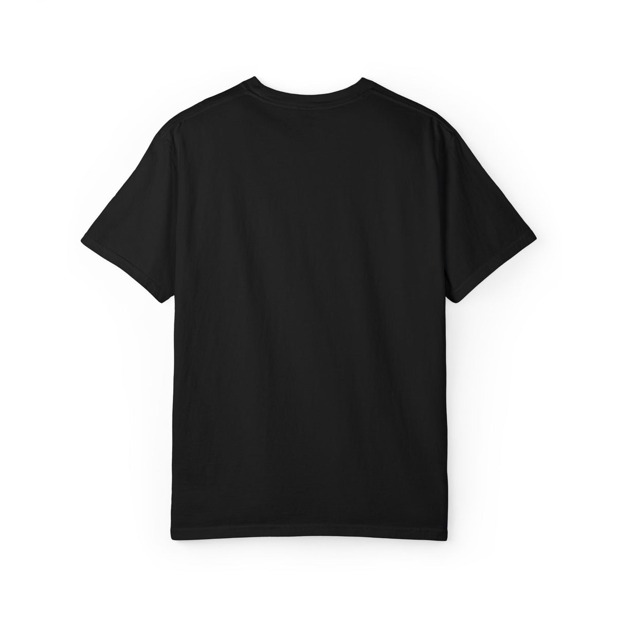 Mntain Outlaw Embroidered Unisex Garment-Dyed T-shirt