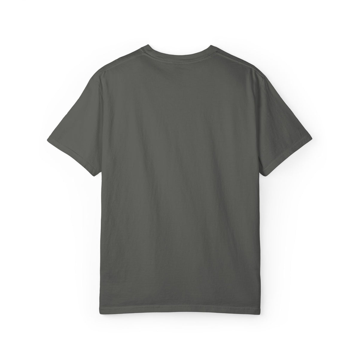 Mntain Outlaw Embroidered Unisex Garment-Dyed T-shirt