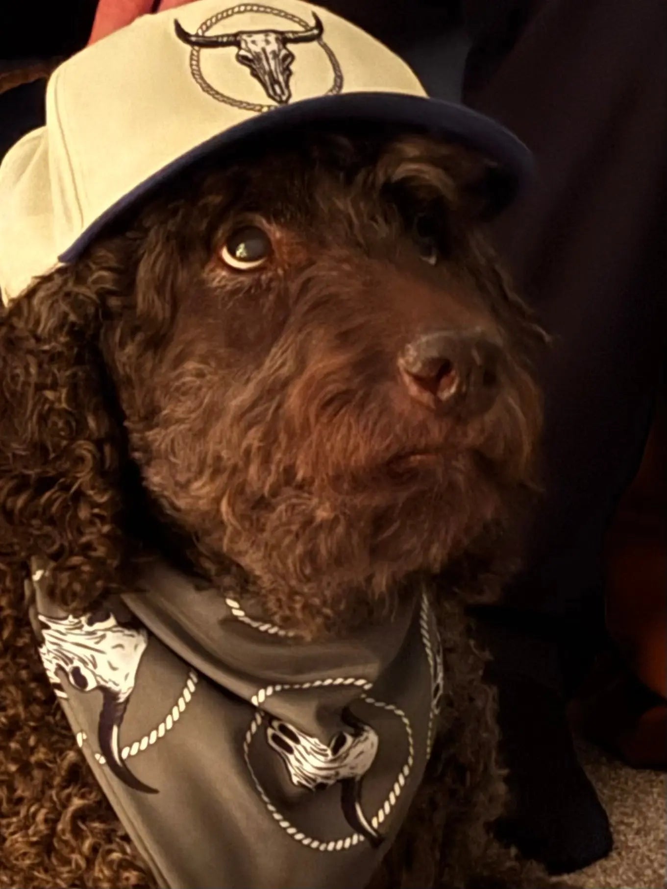 THE LONGHORN CODE – OUTLAW BANDANNA MNTAIN OUTLAW LTD