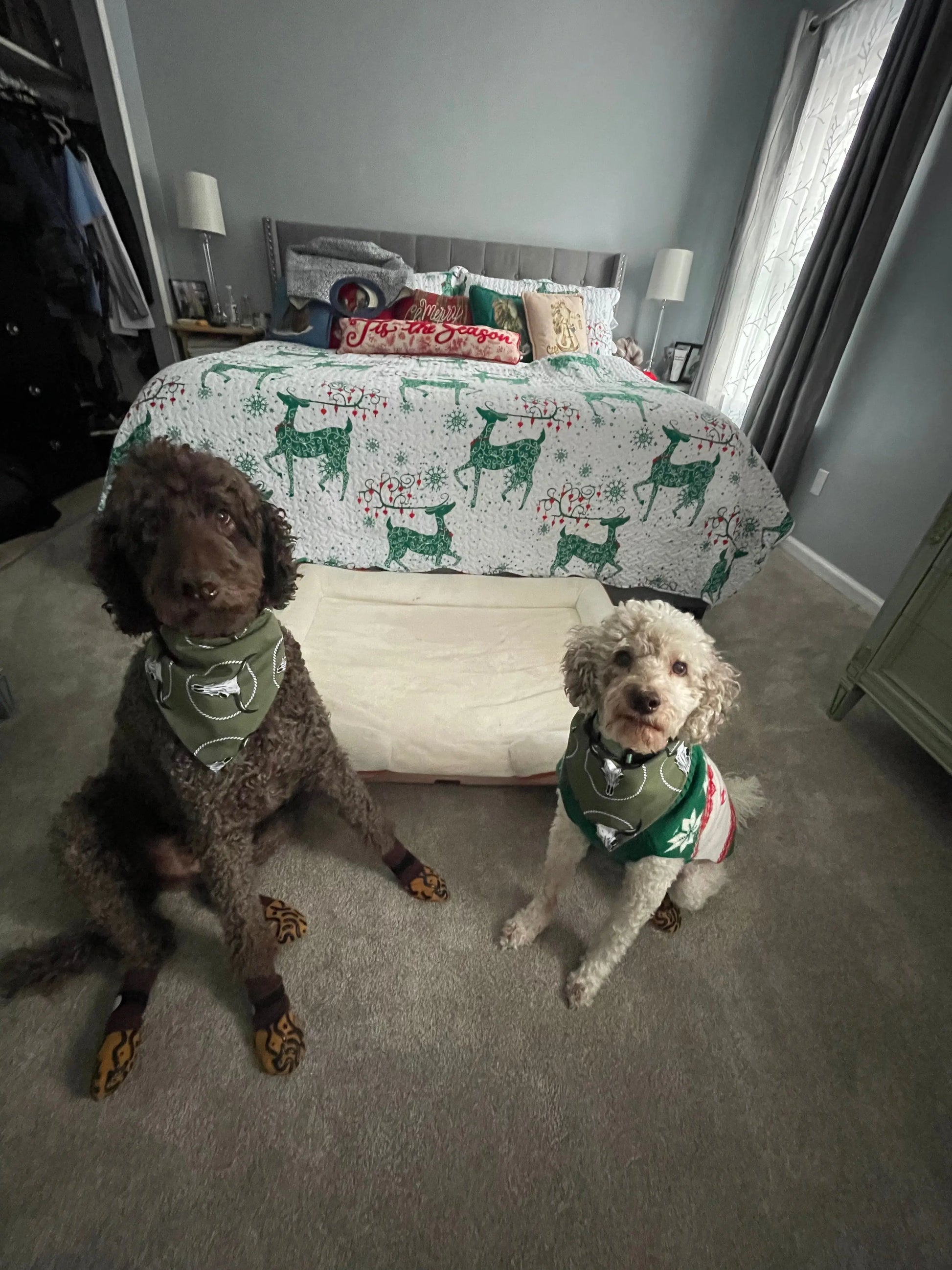 THE LONGHORN CODE – OUTLAW BANDANNA MNTAIN OUTLAW LTD